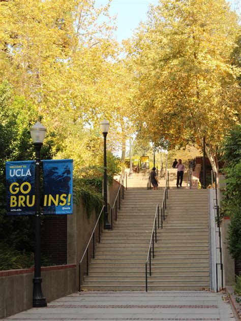 ucla hotels on campus|extended stay hotels near ucla.